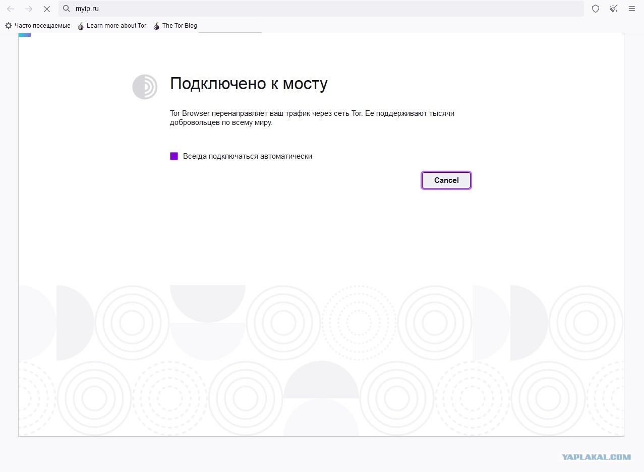 Кракен ссылка gigageek ru