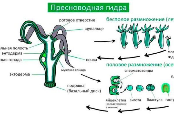 Ссылки зеркала на kraken