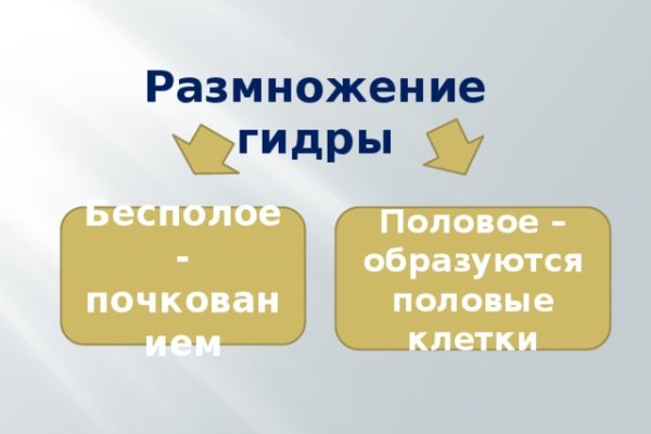 Как зарегистрироваться на кракене