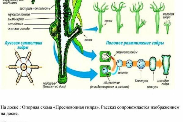 Кракен войти сегодня