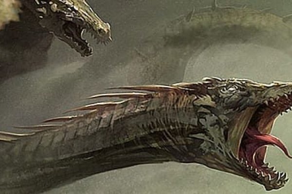 Kraken market
