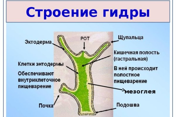Кракен сайт