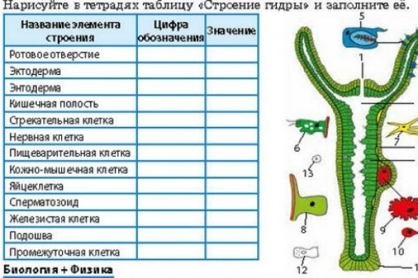 Не могу зайти в аккаунт кракен