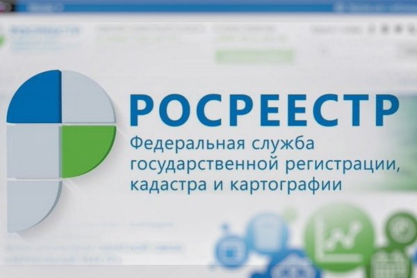 Kraken online