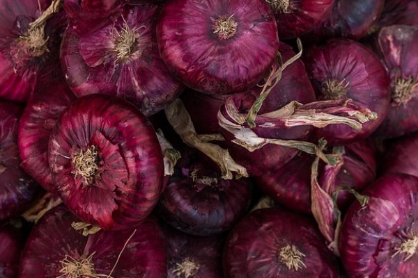 Kraken tor onion зеркало